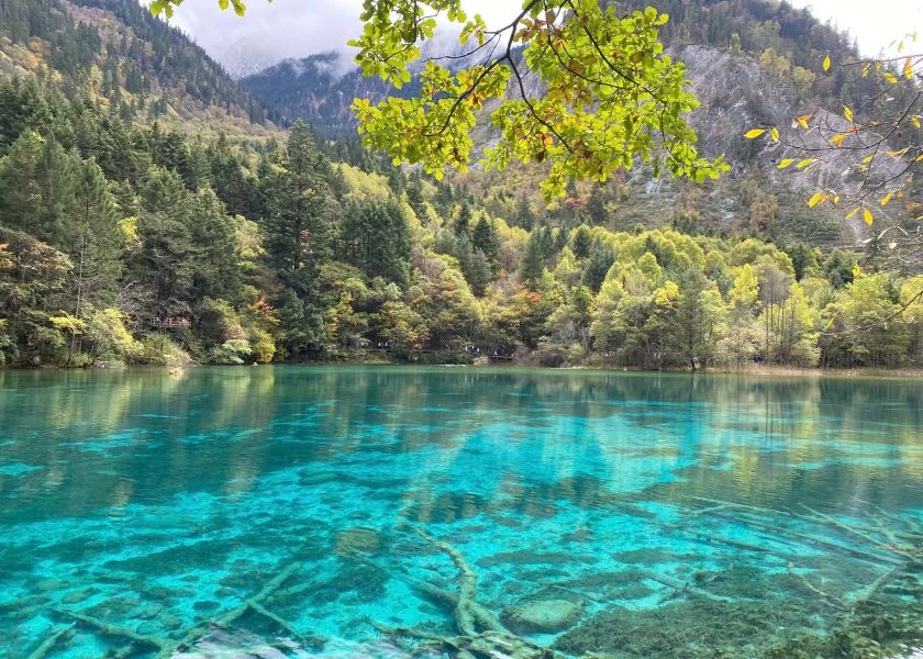 Tour Thành Đô - Cửu Trại Câu - Lạc Sơn Đại Phật - Công Viên Gấu Trúc