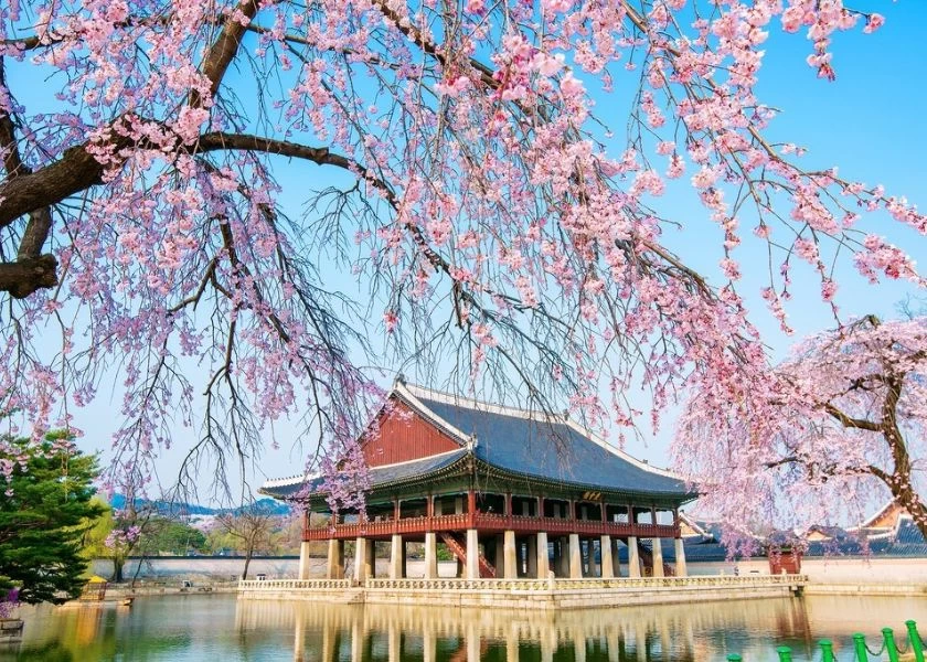 Private Seoul - Nami - Everland