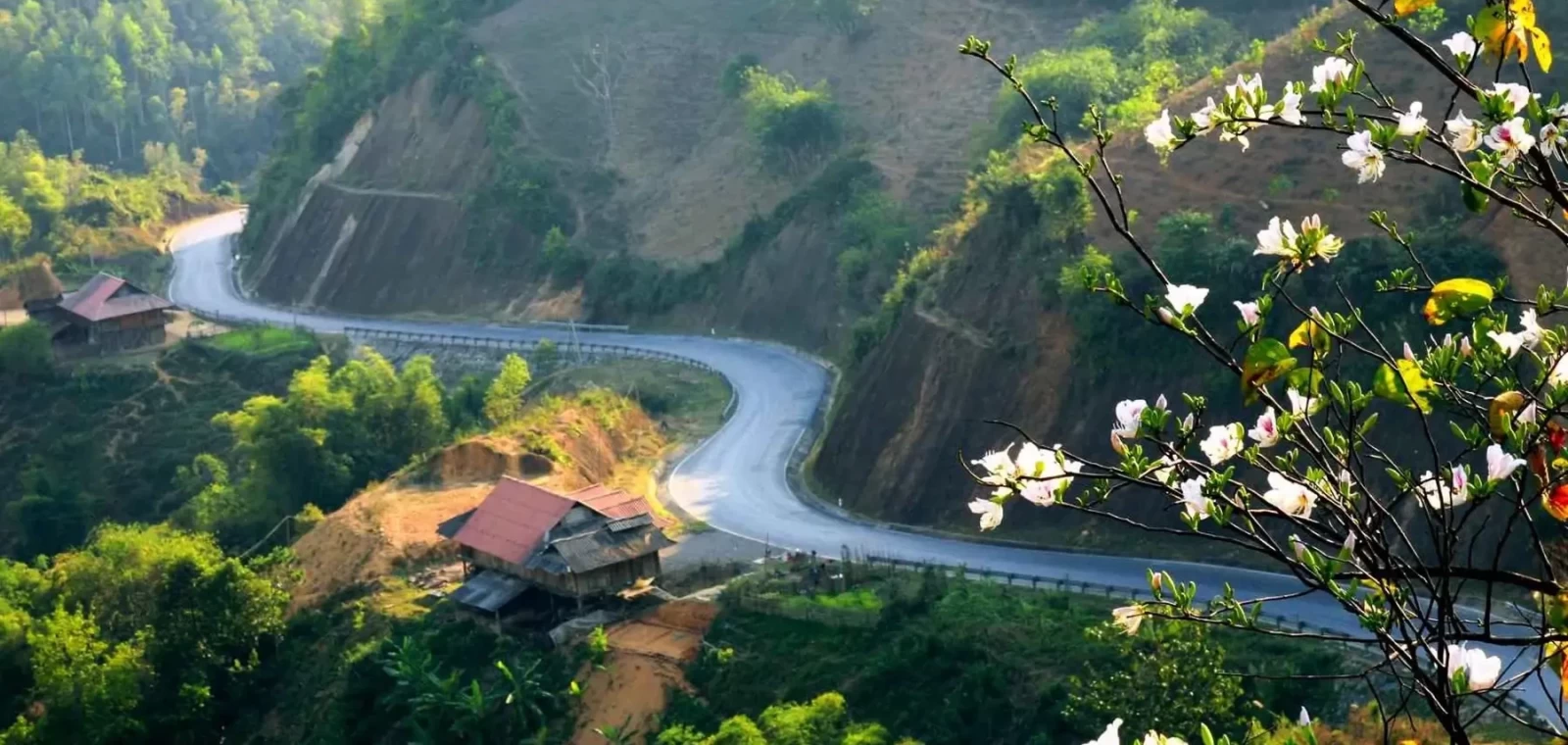 Tour Điện Biên