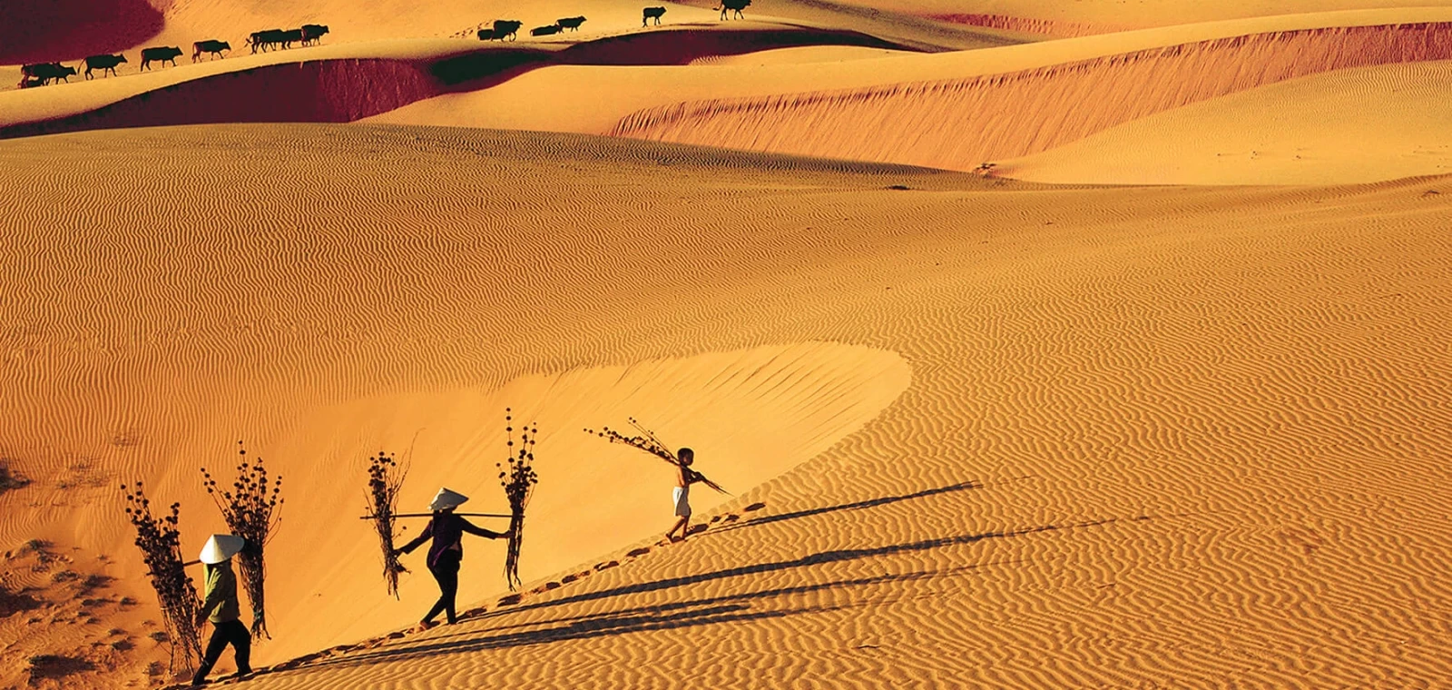 Tour Phan Thiết