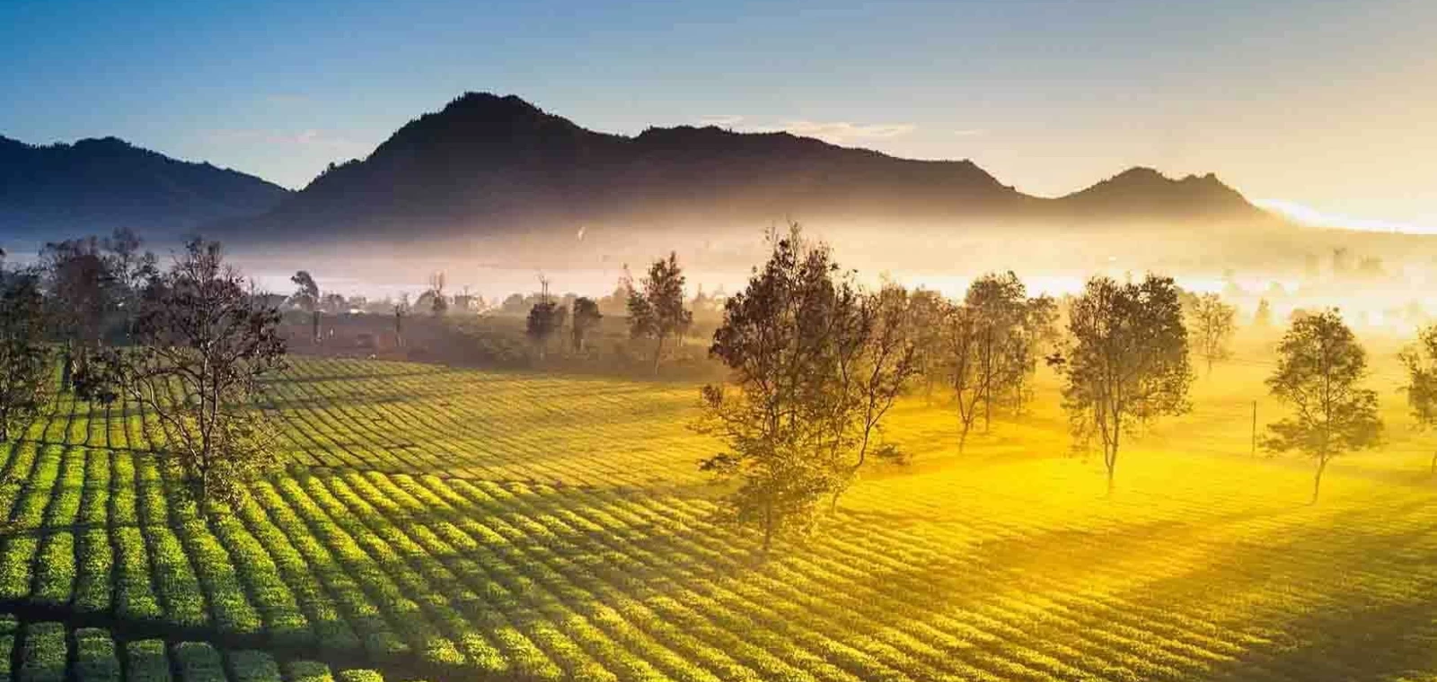 Tour Tây Nguyên