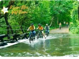 Tour Nam Cát Tiên 2 Ngày 1 Đêm