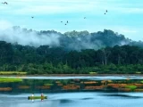 Company Trip Nam Cát Tiên