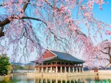 Private Seoul - Nami - Everland
