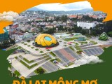 Tour Đà Lạt 4 ngày 3 đêm