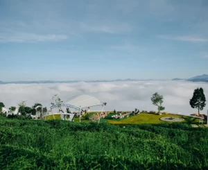 Tour Đà Lạt - Săn Mây 3 Ngày 3 Đêm