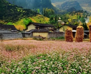 Tour Hà Giang - Đồng Văn - Cao Bằng - Thác Bản Giốc - Ba Bể