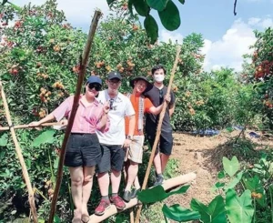 Tour Mỹ Tho - Châu Đốc - Cần Thơ - Cồn Sơn