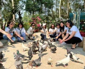 Tour Mỹ Tho - Châu Đốc - Cần Thơ - Cồn Sơn