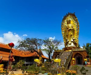 Tour Quy Nhơn - Phú Yên