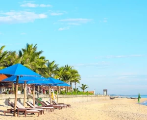 Tour Tham quan Cố Đô Huế