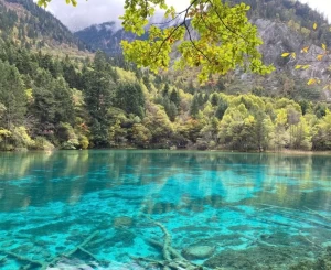 Tour Thành Đô - Cửu Trại Câu - Lạc Sơn Đại Phật - Công Viên Gấu Trúc