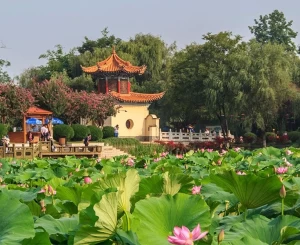 Tour No Shop - Côn Minh - Lệ Giang - Đại Lý - Shangrila