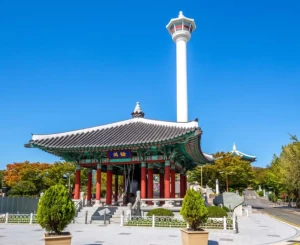 Private Busan - Seoul