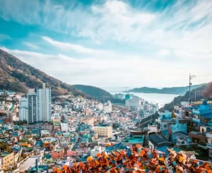 Private Busan - Seoul
