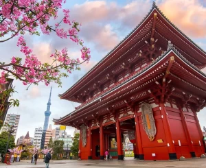 Private Tour Cung Đường Vàng Tokyo – Fuji – Nagoya –  Kyoto – Osaka