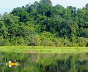 Company Trip Nam Cát Tiên