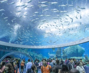 Company Trip Nha Trang 2 Ngày 2 Đêm