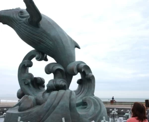 Company Trip Vũng Tàu