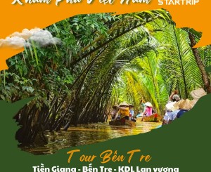 POSTER TOUR STARTRIP (2)
