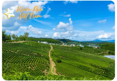 Tour Đà Lạt - Săn Mây 3 Ngày 3 Đêm
