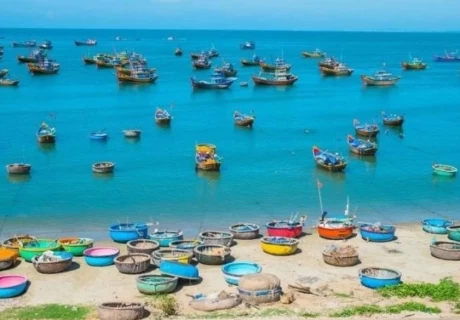 Company Trip Long Hải 2 Ngày 1 Đêm