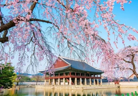 Private Seoul - Nami - Everland