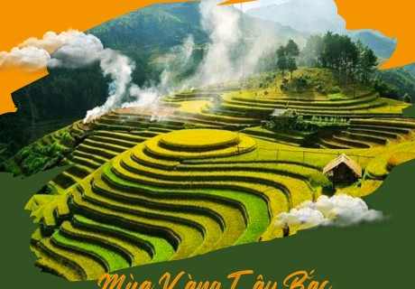 Tour Mùa Vàng Tây Bắc: Hà Nội – Bắc Hà – Sapa – Mù Cang Chải – Nghĩa Lộ