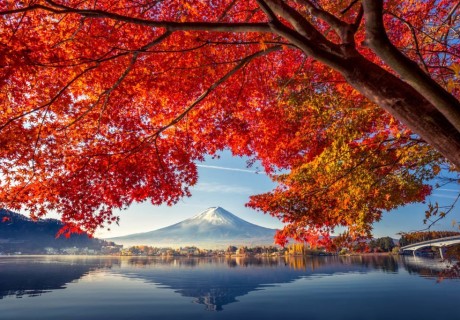 Tour Cung Đường Vàng Nhật Bản 6 ngày 5 đêm
