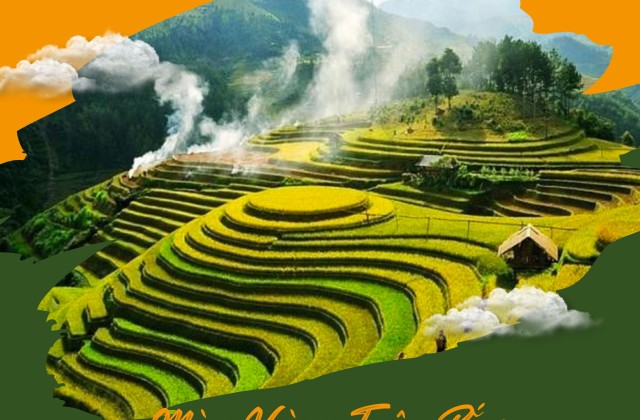 Tour Mùa Vàng Tây Bắc: Hà Nội – Bắc Hà – Sapa – Mù Cang Chải – Nghĩa Lộ