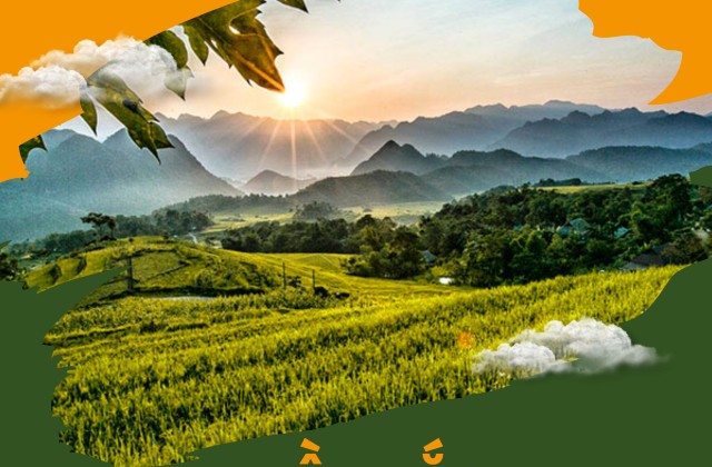 Tour Hoà Bình – Pù Luông – Ninh Bình – Hạ Long