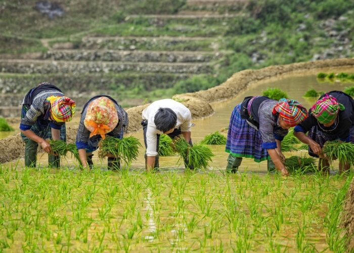 Tour-du-lich-Tay-Bac