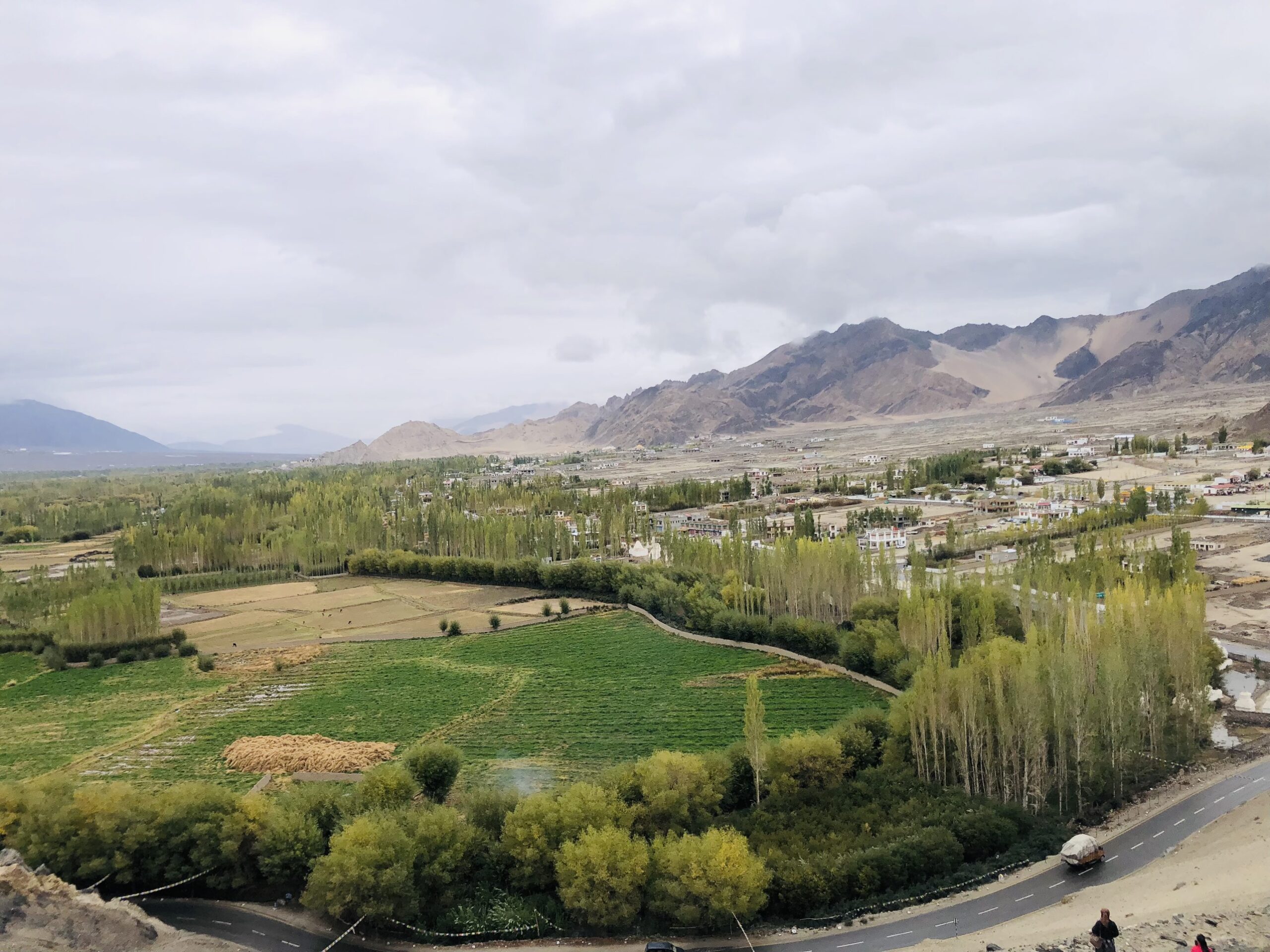 z4605585114365_8571a7ba711f294e85ac7b7a0cbf3da2