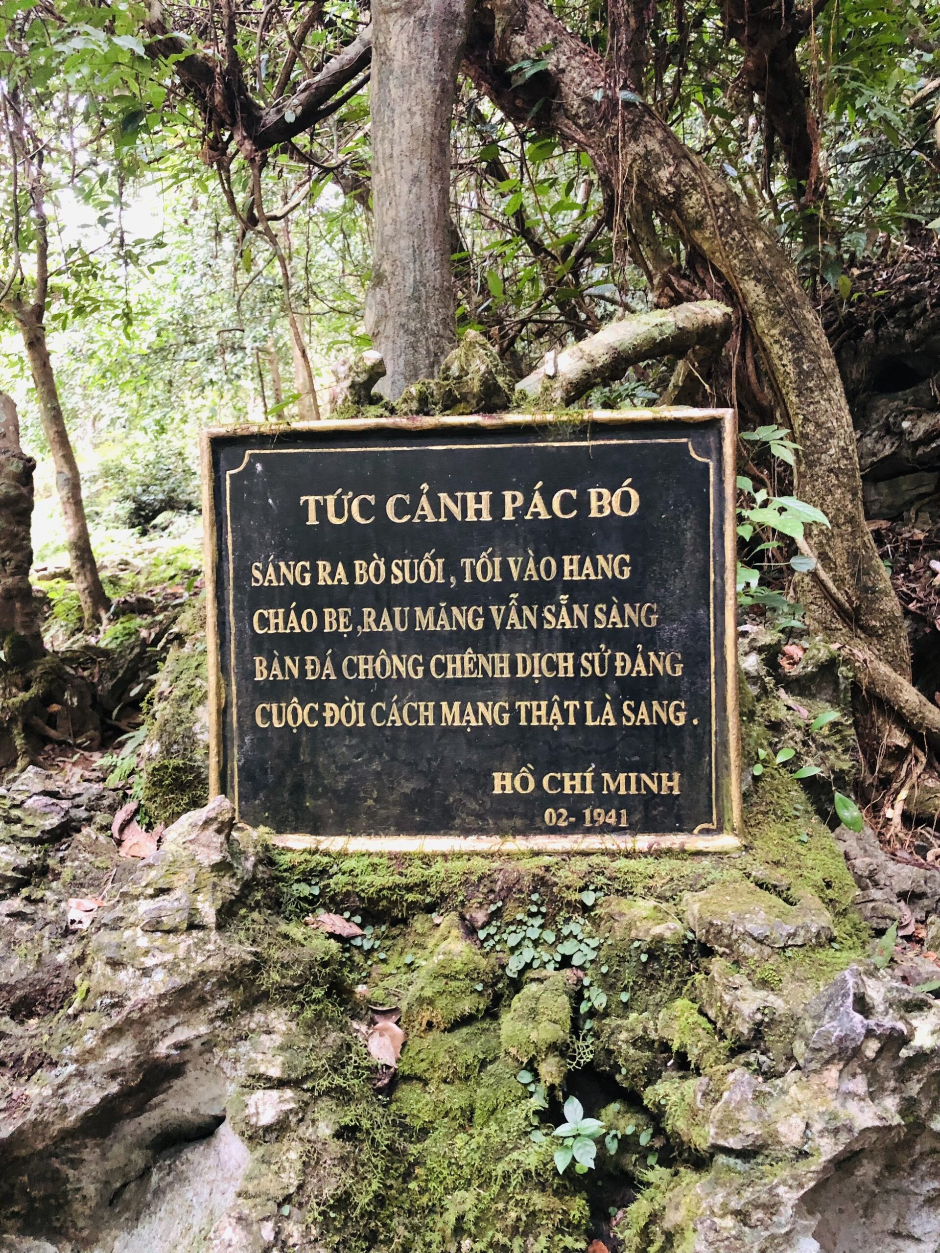 z4932824890711_f52b462289d727df175a976840f8578a