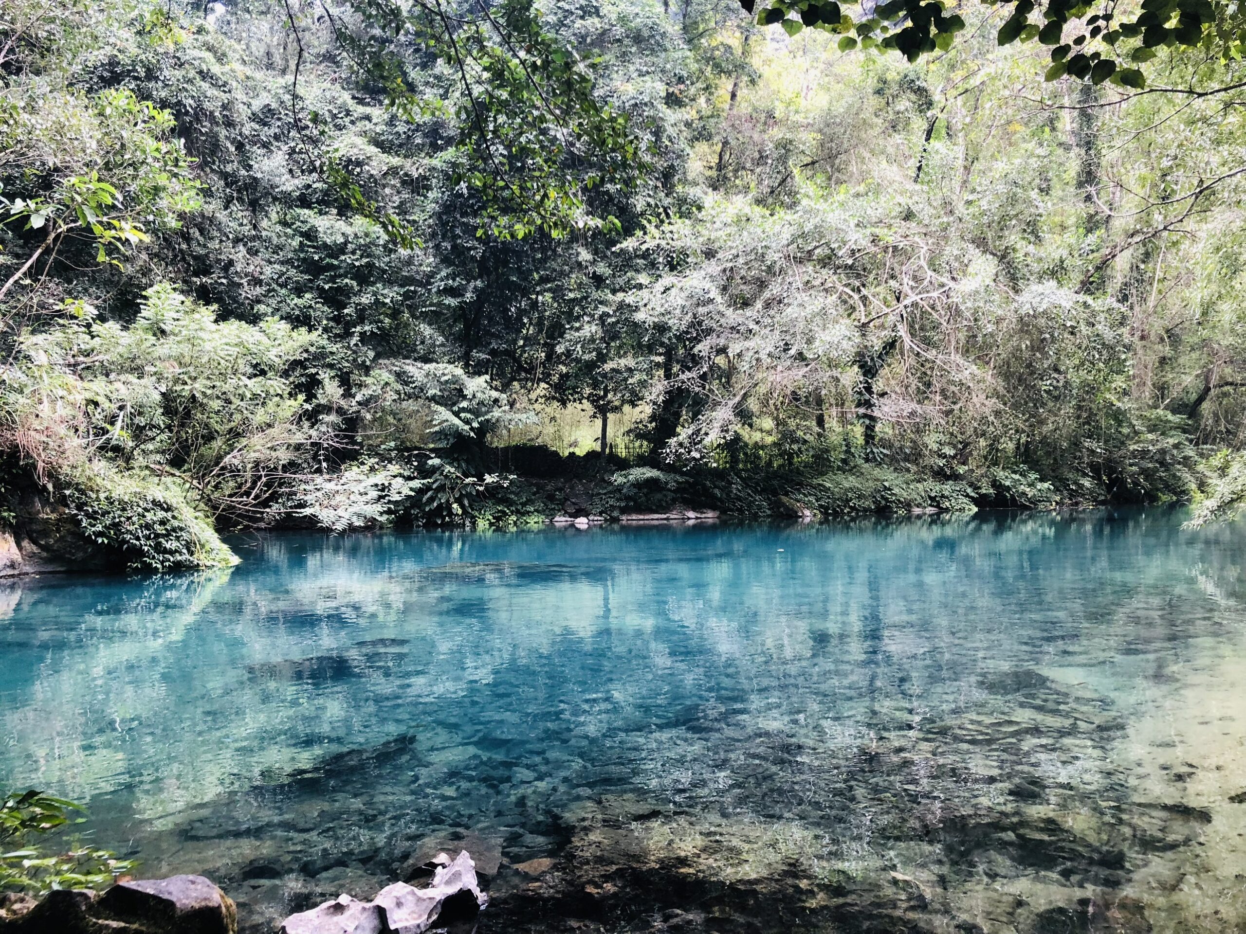 z4932824922630_37abc5c2af499b6c16cd724c69bb9f40