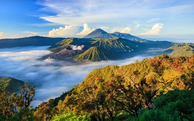 bromo 9